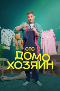 Сериал: Домохозяин