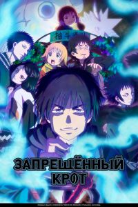 Аниме сериал: Запрещенный Крот