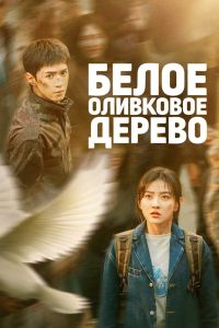 Сериал: Белое оливковое дерево