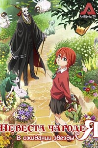 Сериал: Невеста чародея: В ожидании путеводной звезды